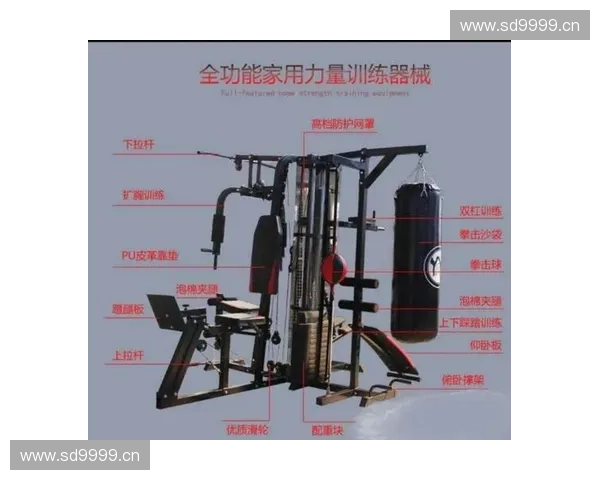 提升训练效果的高效装备选购指南与使用技巧大全