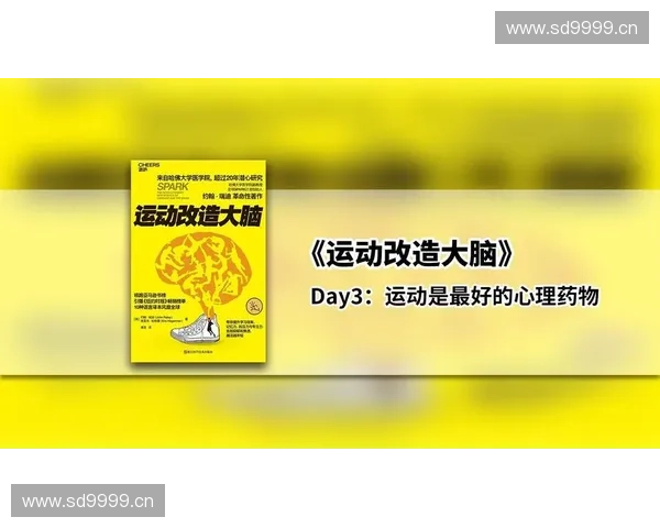 以动作容量为核心探讨运动对人体生理与心理影响的综合研究