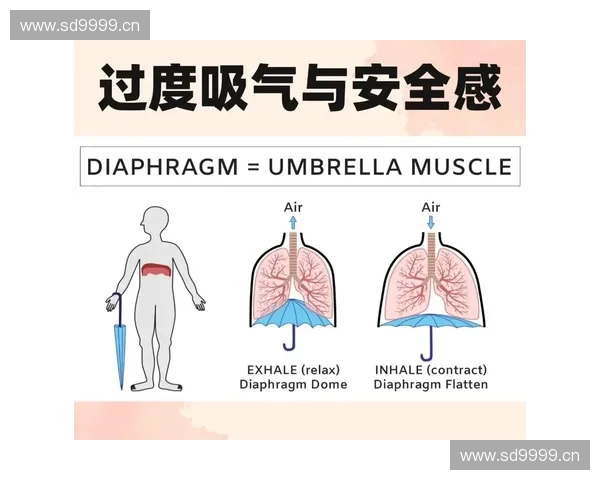 以基础动作为切入点探讨人体运动模式及其对日常生活功能的影响 以基础动作为切入点探讨人体运动模式及其对日常生活功能的影响
